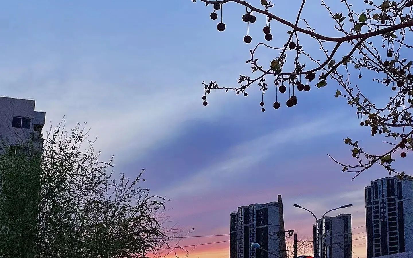 封面图片: 【iOS】数据持久化